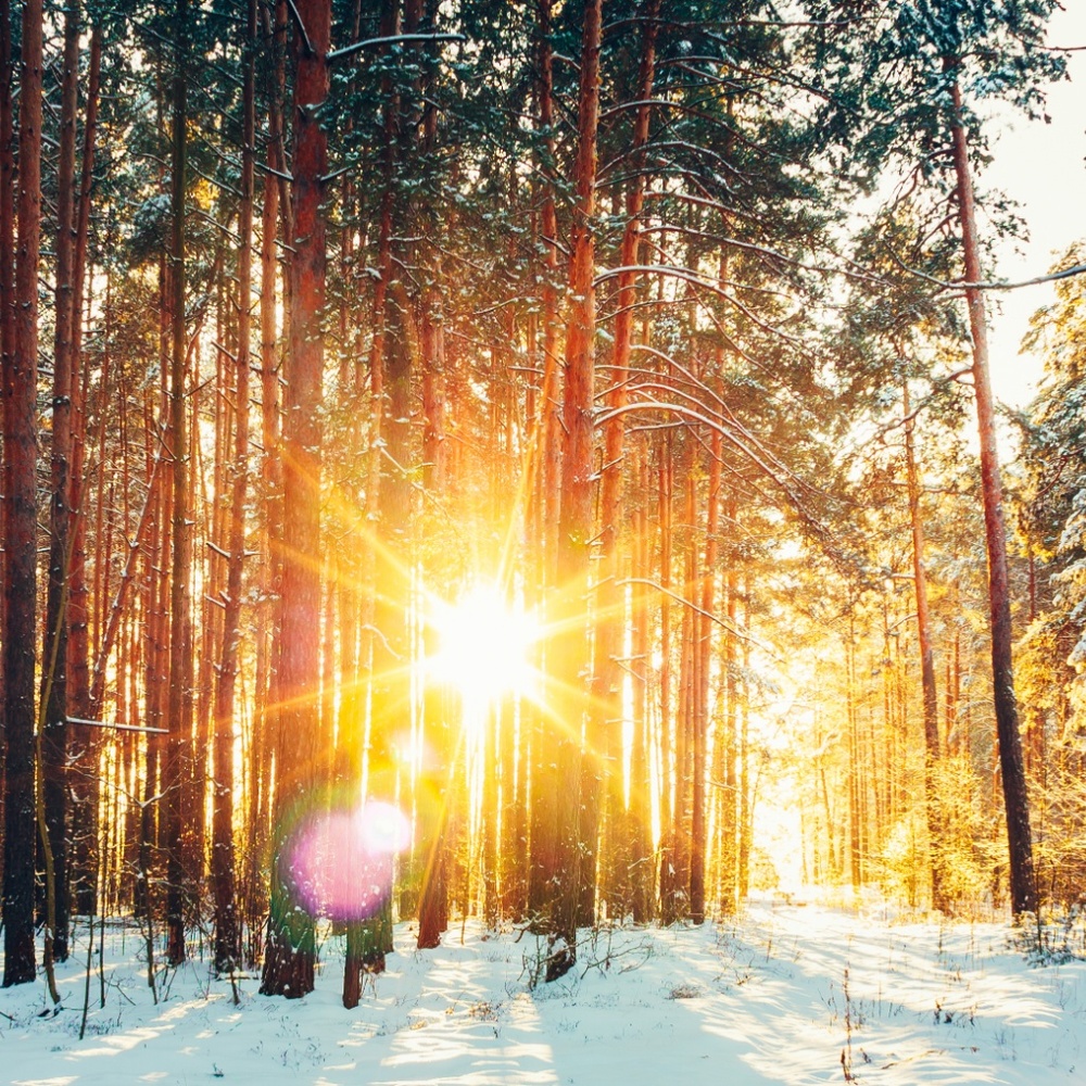 Meet your Posher, Kristin